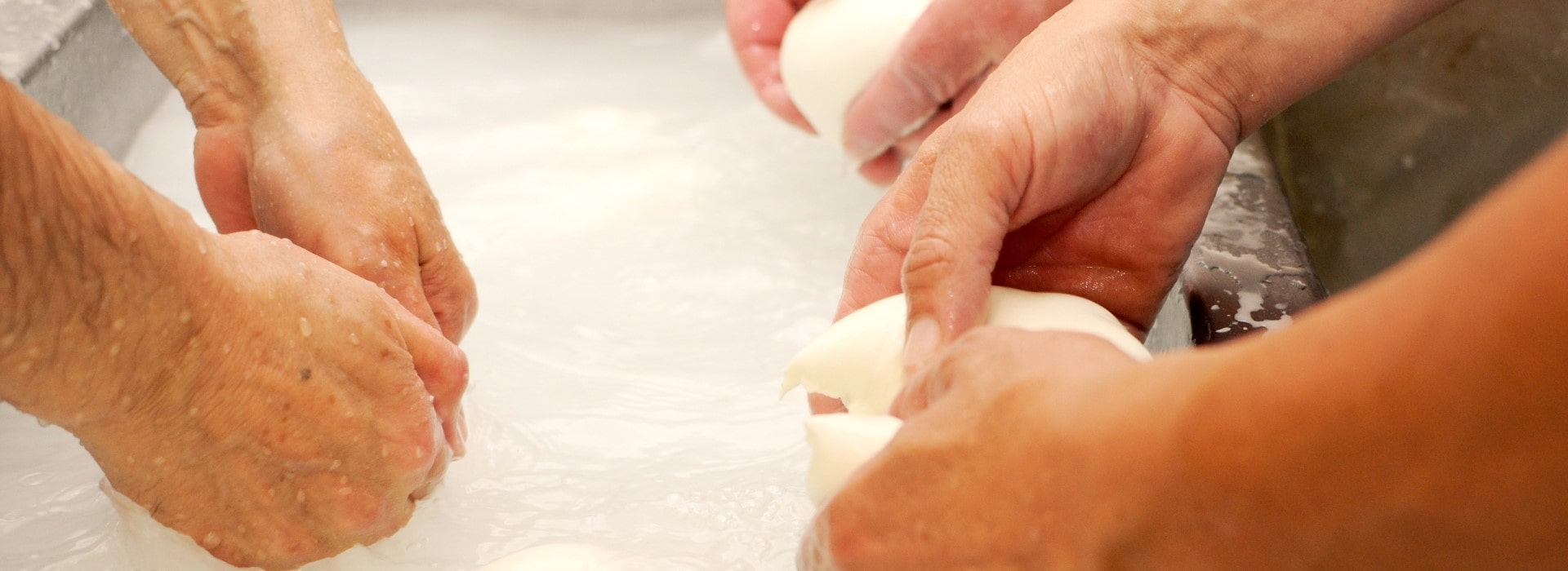 Hands of people making mozzarella cheese
