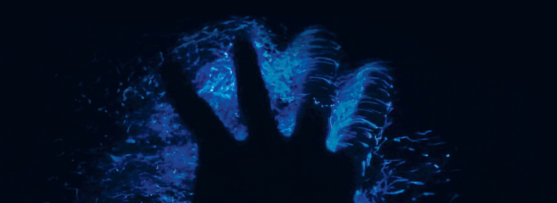A hand in the sea illuminated by bioluminescence